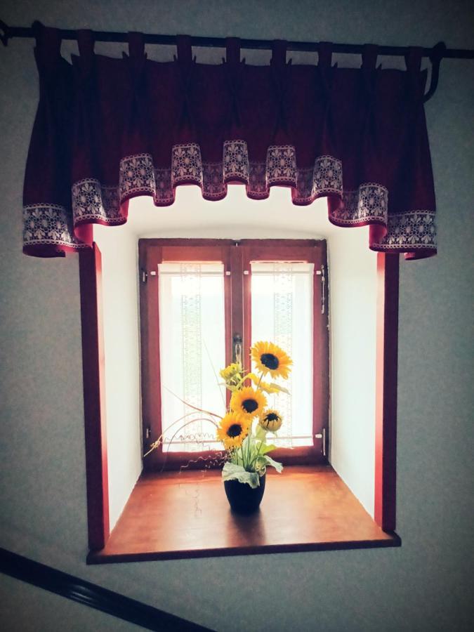 Guesthouse Marija Potpican Ngoại thất bức ảnh